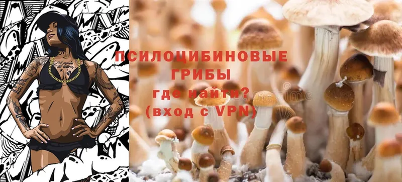 Галлюциногенные грибы Psilocybine cubensis  мориарти клад  Магас 